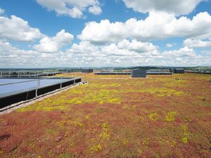 Sustainable-Roofing-1 Sustainable-Roofing-1