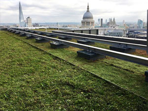 Sustainable-Roofing-4 Sustainable-Roofing-4